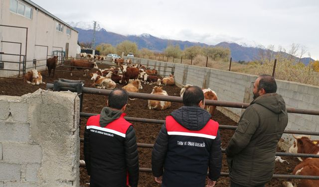 Akyazı'daki Hayvancılık İşletmesine Ziyaret