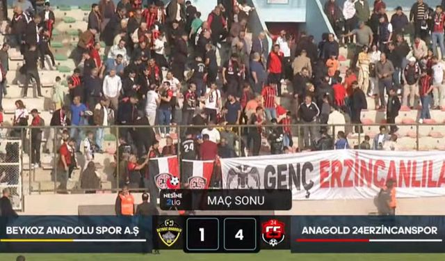 Erzincanspor İstanbul’dan 3 Puanla Döndü