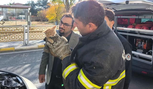 Erzincan’da Motor Kısmına Sıkışan Kedi Kurtarıldı