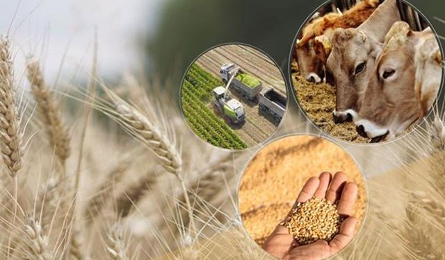 Çiftçilere 1,5 Milyar Liralık Destek Ödemesi Yapılacak