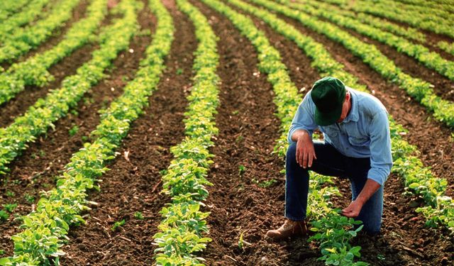 2026 Yılı ÇKS Başvurularında Son Tarih 31 Aralık 2025