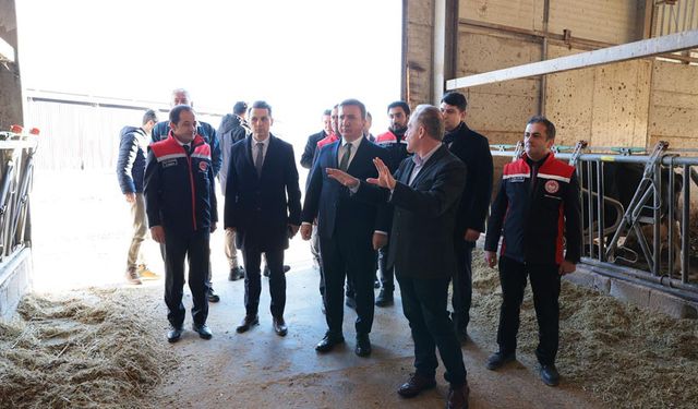 Vali Aydoğdu Tarım ve Hayvancılık Yatırımlarını İnceledi