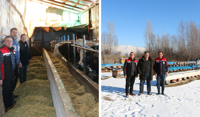 Güllüce'de Arıcılık ve Hayvancılığa Yerinde Destek