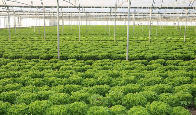 Erzincan’da Tarım ve Hayvancılığa 178 Milyon TL’lik Büyük Yatırım