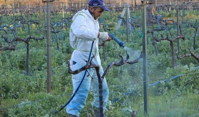 Erzincan’da Üreticilere Bordo Bulamacı Uyarısı
