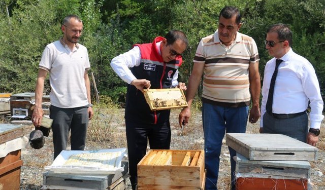 Erzincan Geven Balı Coğrafi İşaret Tescili Aldı