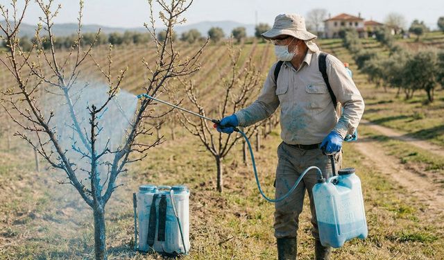 Meyve Ağaçları İçin Bordo Bulamacı Zamanı Geldi