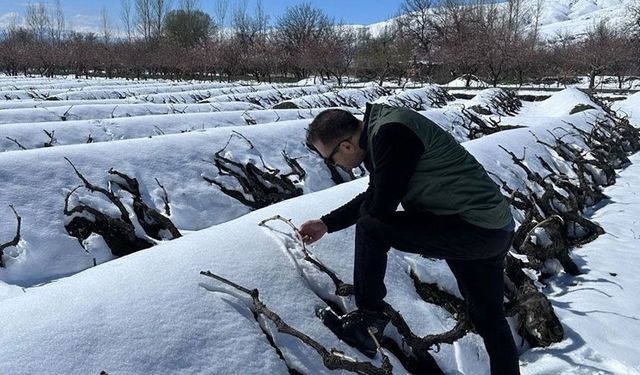 Erzincan İçin Kuvvetli Kar ve Zirai Don Alarmı!