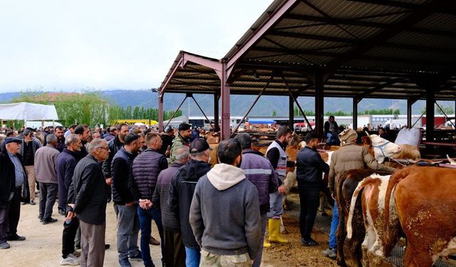 Erzincan Hayvan Pazarı’nda Bayram Hareketliliği Yaşanıyor