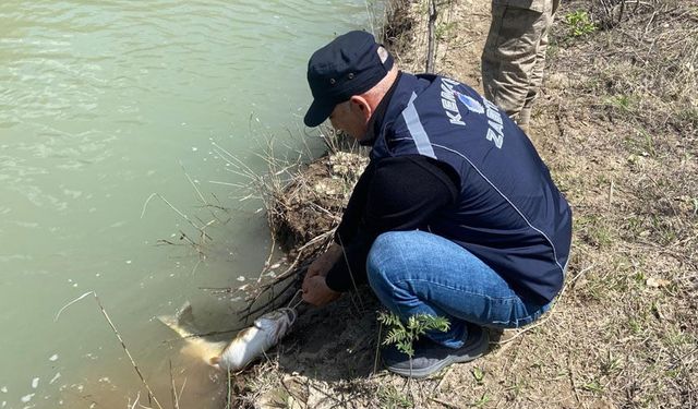 Karasu Nehri’nde Kaçak Avcılığa Karşı Denetim