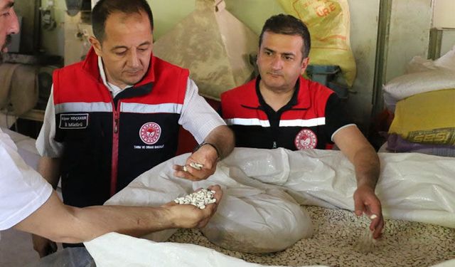 Koçaker, Hububat ve Bakliyat İşleme Tesisini İnceledi