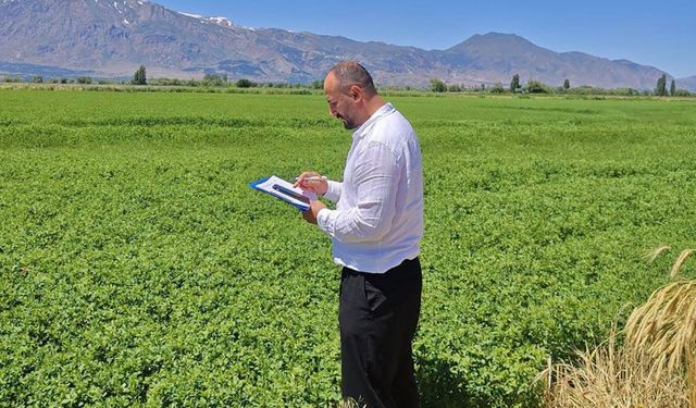 Erzincan’da Hasat Öncesi Kontroller Aralıksız Sürüyor