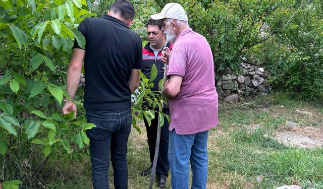 Kemah'ta Meyve Bahçelerinde Hastalıklara Karşı Bilgilendirme Çalışması
