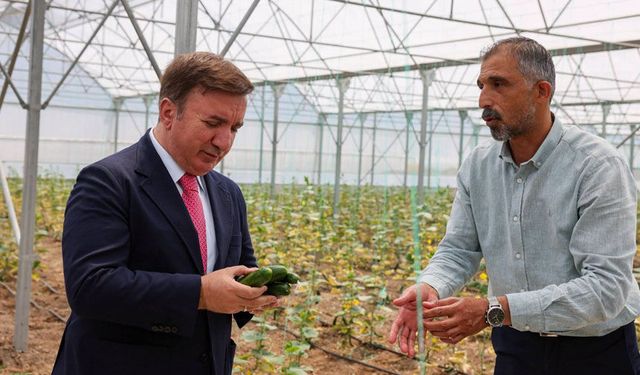 Vali Aydoğdu Toplu Sera Bölgesi'nde Üreticilerle Buluştu