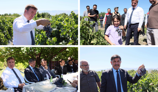 Erzincan Protokolü Cimin Üzümü Hasadında Buluştu