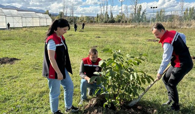 Çayırlı’da 400 Fidan Toprakla Buluştu