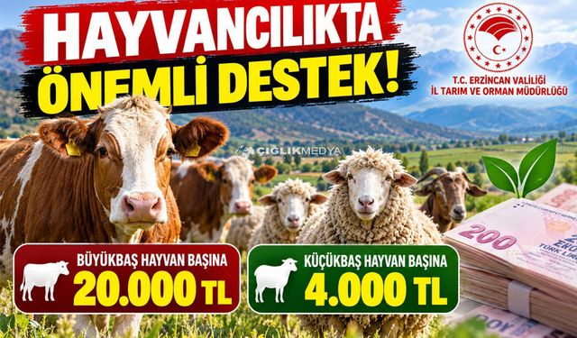 Hayvancılıkla Uğraşan Üreticilere Önemli Destek