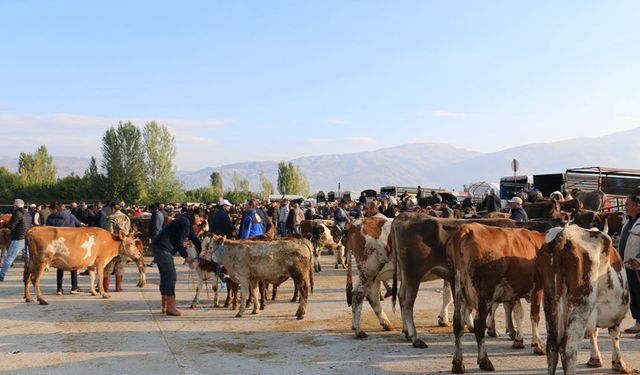 Erzincan Hayvan Pazarında Yetiştiricilere Şap Aşısı Uyarısı
