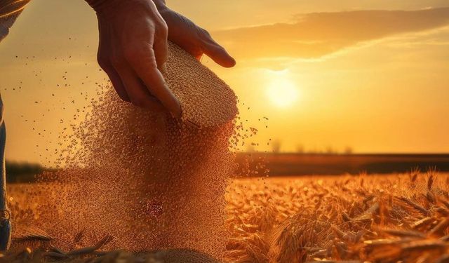2027 Yılında TARSİM’de Teminat ve Destekler Genişletildi