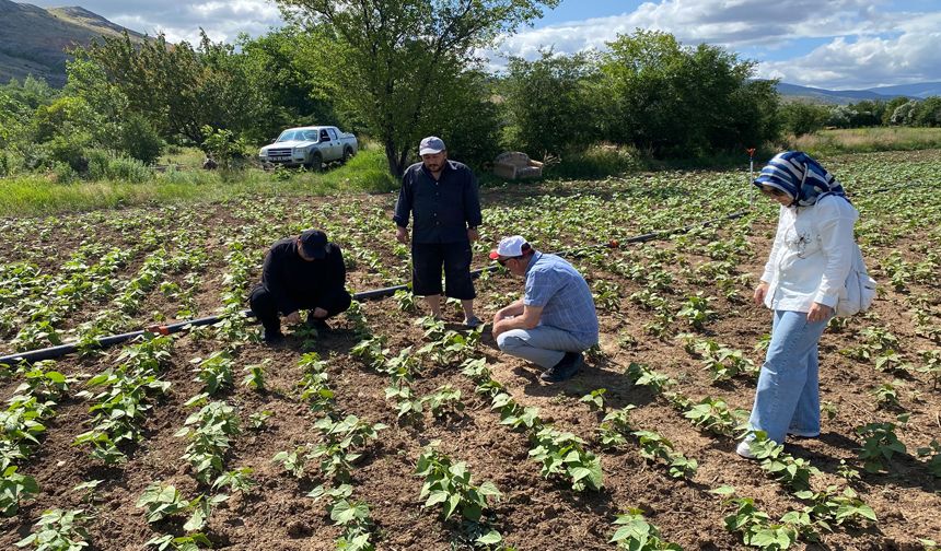 Erzincan Çiftçisine Tohum ve Fide Sağlandı