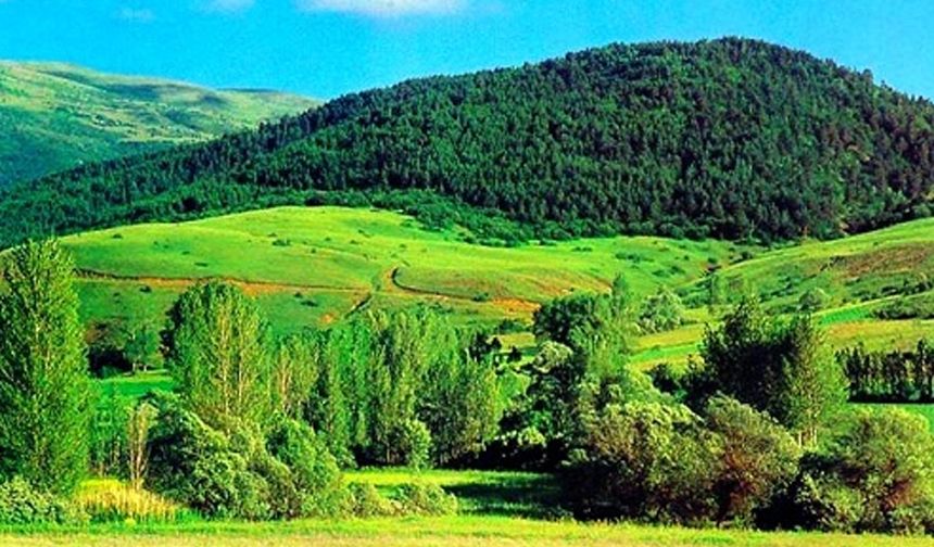 Tedbir Amaçlı Erzincan’da Orman Girişleri Kısıtlandı