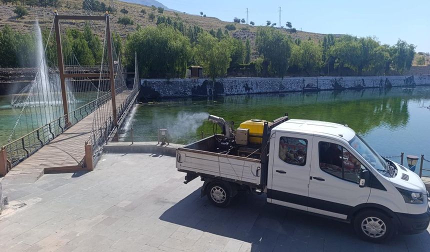 Belediyenin Sinek ve Haşere Mücadelesi Devam Ediyor