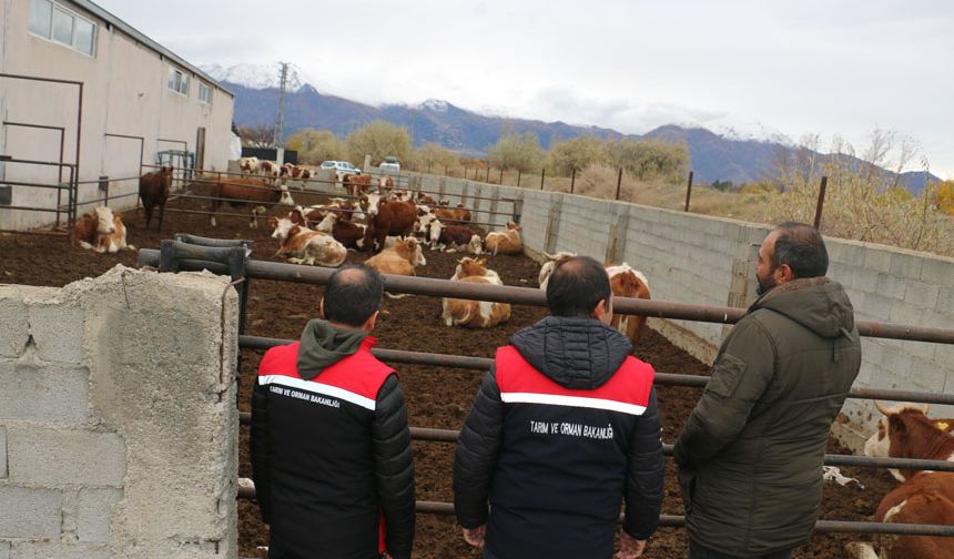 Akyazı'daki Hayvancılık İşletmesine Ziyaret