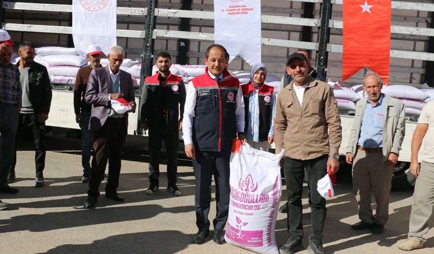 Kemaliye’de Üreticilere 11 Ton Kırmızı Mercimek Tohumu Dağıtıldı