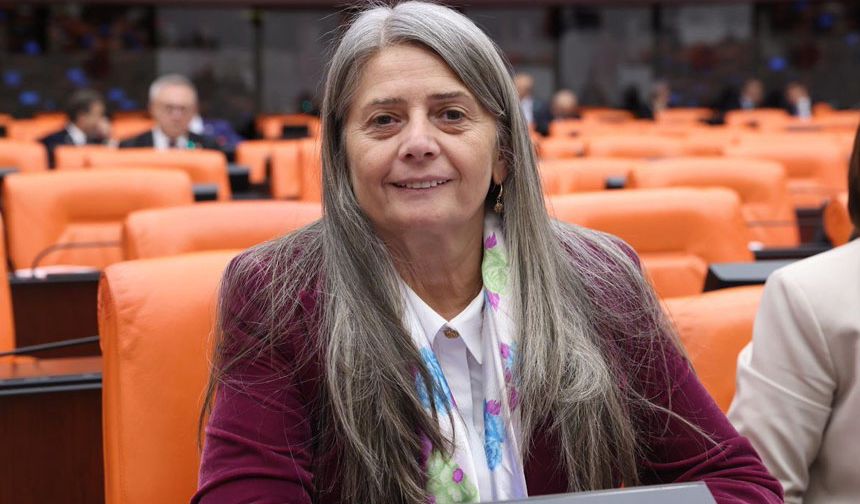 Erzincan–Trabzon Demiryolu Yıllardır Bekleniyor: “Söz Verildi, Hâlâ Adım Atılmadı”