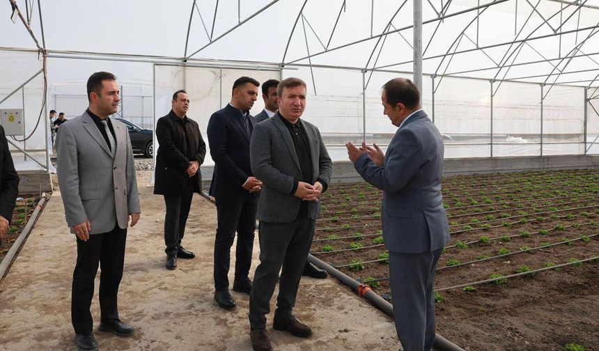 Toplu Sera Bölgesi Erzincan Ekonomisine Katkı Sağlayacak