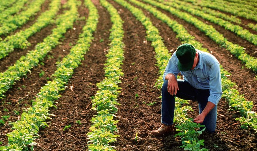 2026 Yılı ÇKS Başvurularında Son Tarih 31 Aralık 2025