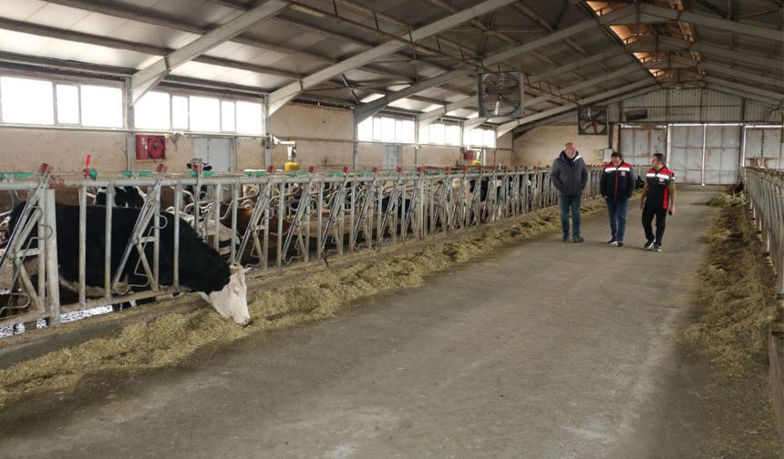 Erzincan’da Süt Sığırcılığına Ziyaret