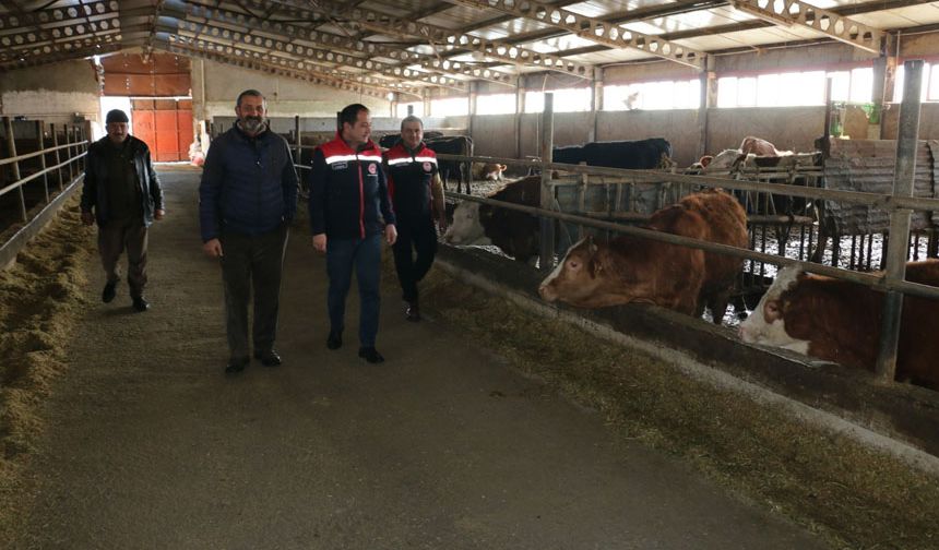 Hayvancılıkta Sürdürülebilir Üretim Sahada İncelendi
