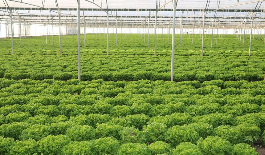 Erzincan’da Tarım ve Hayvancılığa 178 Milyon TL’lik Büyük Yatırım