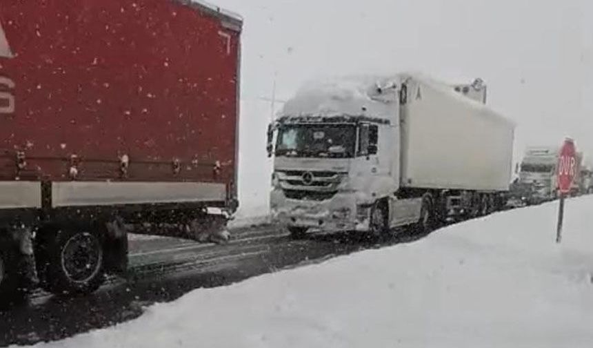 Erzincan’da Tipi Ulaşımı Durdurdu