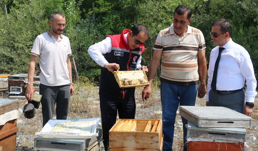 Erzincan Geven Balı Coğrafi İşaret Tescili Aldı