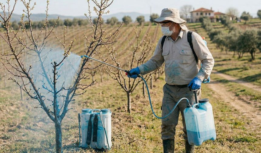 Meyve Ağaçları İçin Bordo Bulamacı Zamanı Geldi