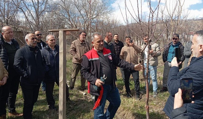 Erzincan’da Çiftçilere Budama Eğitimi Verildi