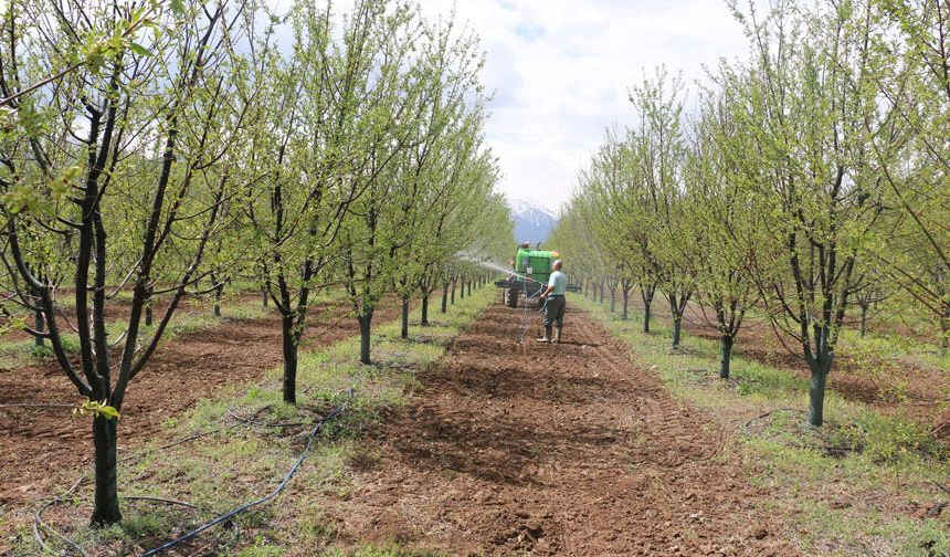 Erzincan’da Örnek Başarı Hikayesi