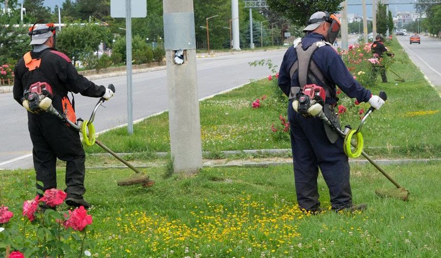 Erzincan Belediyesi Yeşil Alanlarda Bakım Çalışmalarını Sürdürüyor