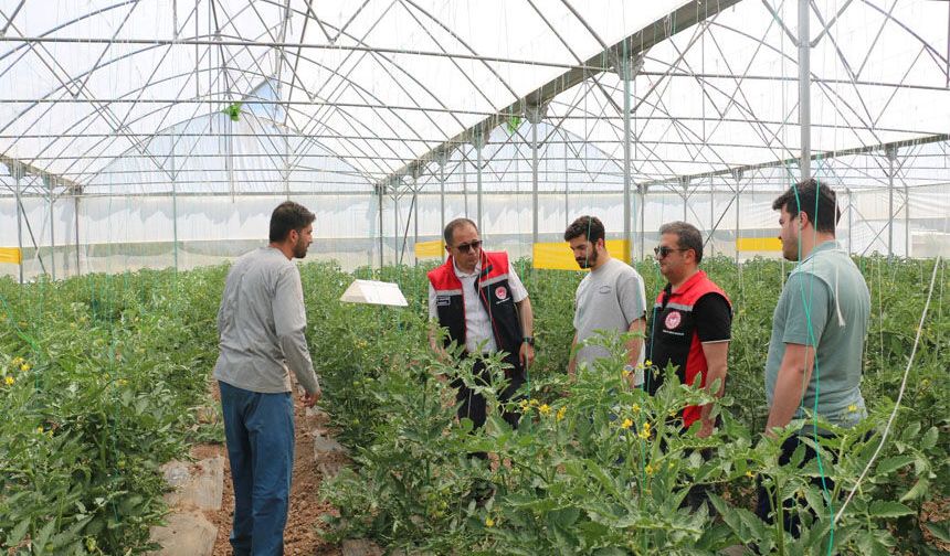 Erzincan Toplu Sera Bölgesi'nde Üretim Yerinde İncelendi