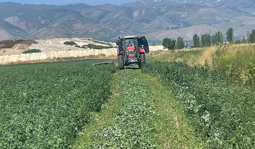Erzincan Belediyesi 72 Dönümlük Alanda Yonca Hasadına Başladı