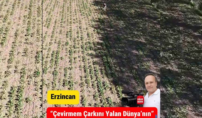 Erzincan’da Bir Çiftçinin Sessiz Mücadelesi | “Çevirmem Çarkını Yalan Dünyanın”