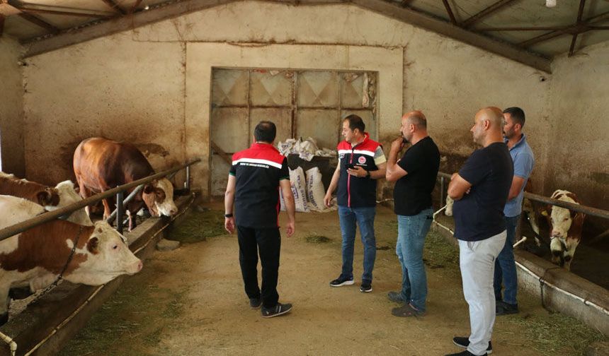 Erzincan'da Hayvancılık Daha Modern ve Daha Sürdürülebilir
