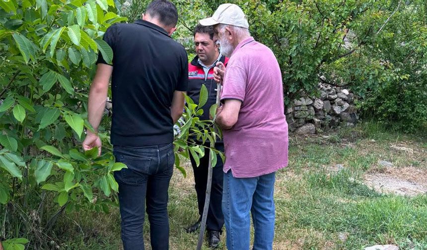 Kemah'ta Meyve Bahçelerinde Hastalıklara Karşı Bilgilendirme Çalışması