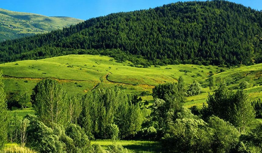 Erzincan’da Orman Yangınlarına Karşı Yeni Tedbirler Alındı