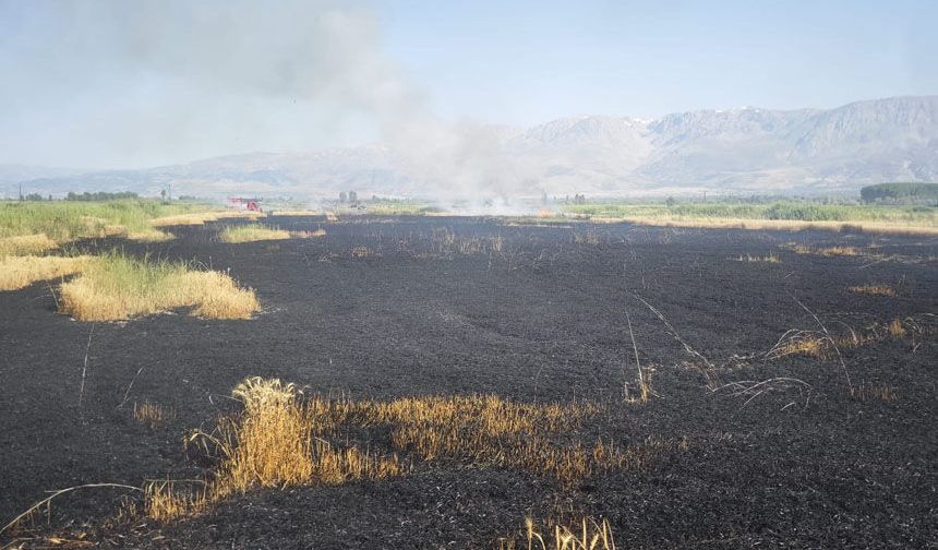 Erzincan'da Buğday Tarlasında Yangın Çıktı
