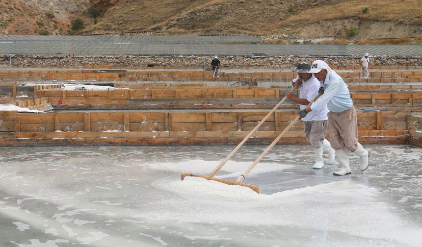 Kemah Tuzu Avrupa Yolunda