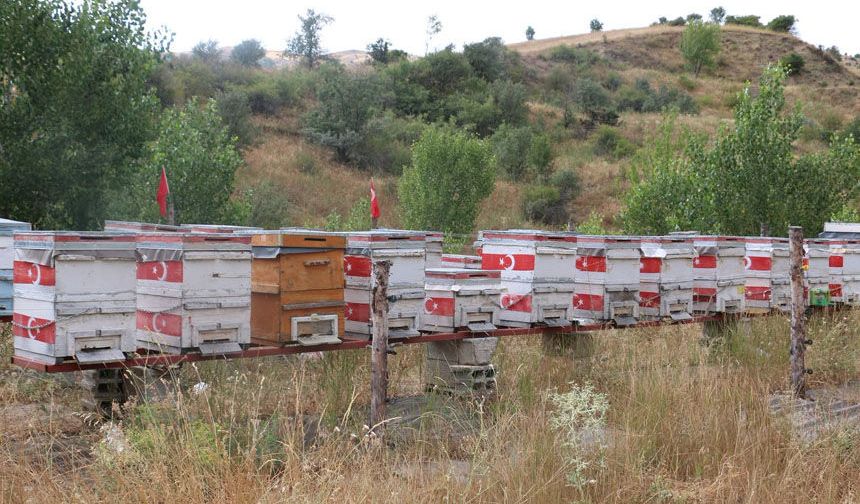 80 Kovanlık Arılığını Türk Bayraklarıyla Donattı