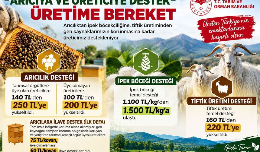 Arıcılık ve Üretime Destek Artıyor: Kovan Başına Yeni Destek Geldi